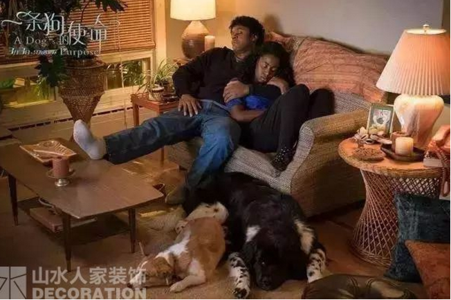 看電影.學(xué)裝修：因?yàn)橛心?，所以有意義